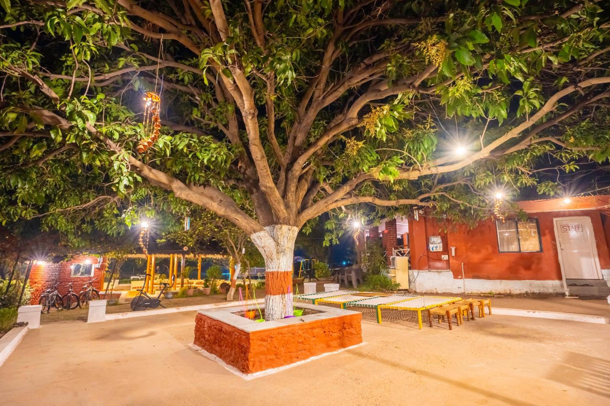Wow Stayz2 Pachmarhi Foothill Cottages 외부 사진